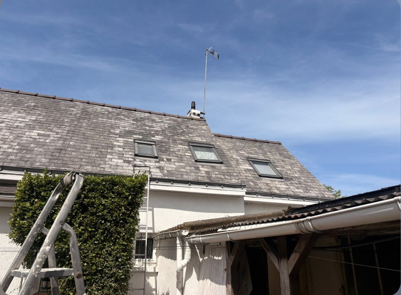 Toiture ardoise couverte de mousses et de traces noires avant nettoyage